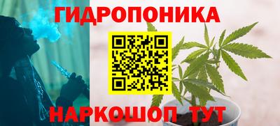гашик Кандалакша