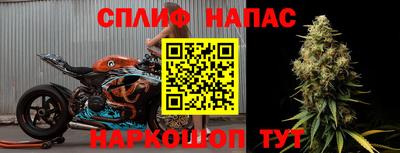гашик Кандалакша